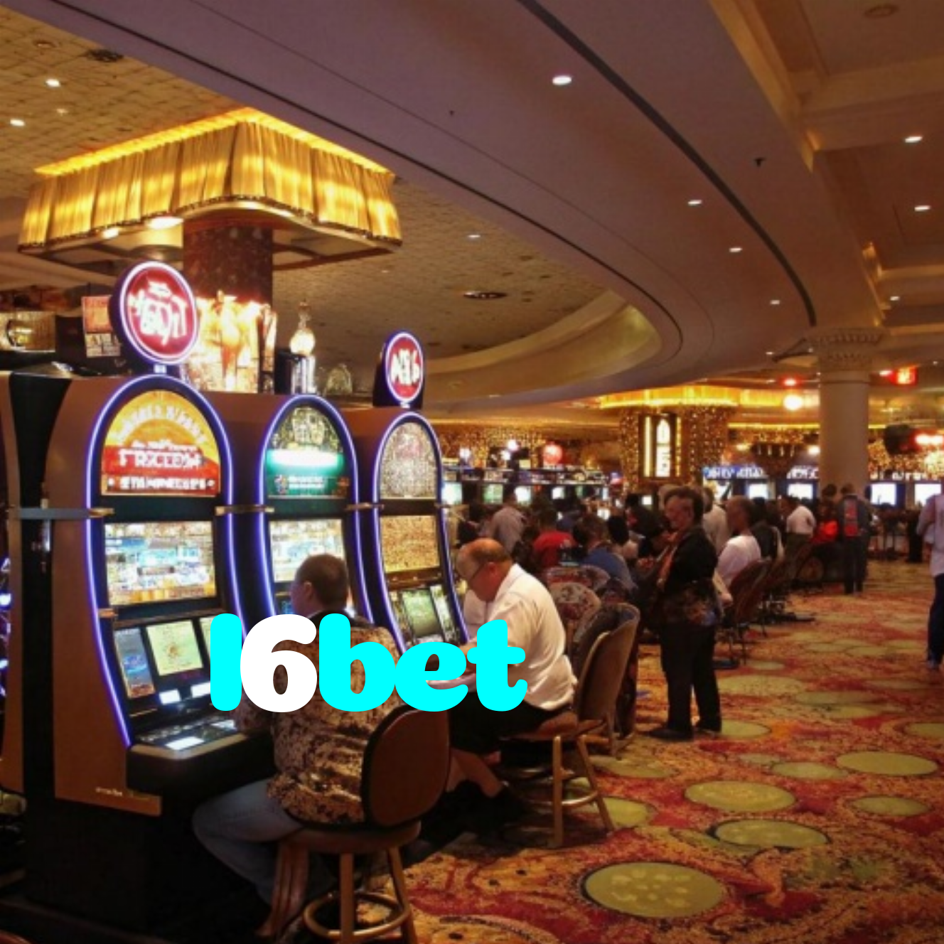 l6bet