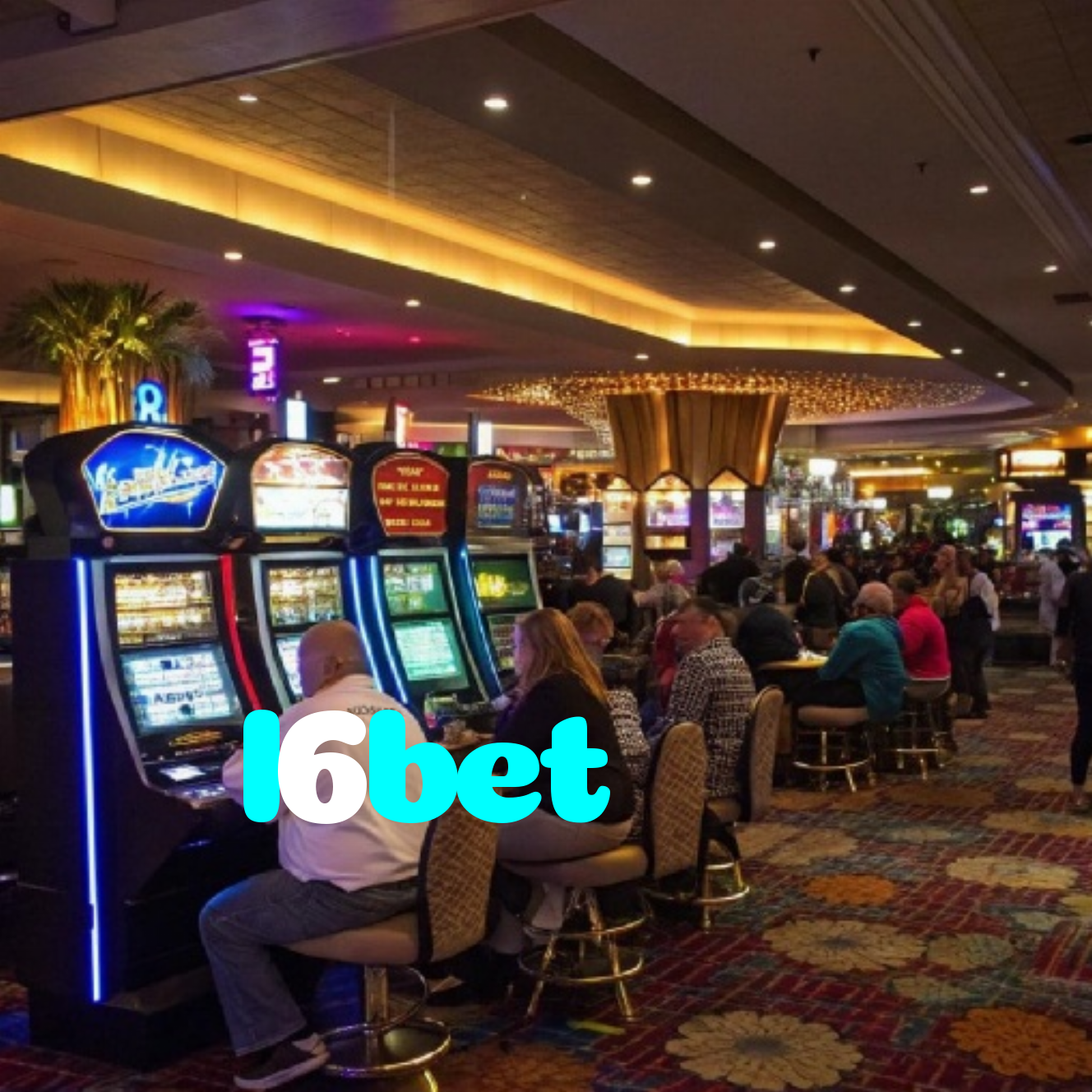 l6bet
